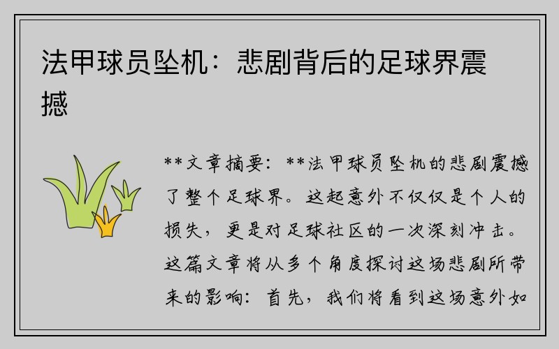 法甲球员坠机：悲剧背后的足球界震撼
