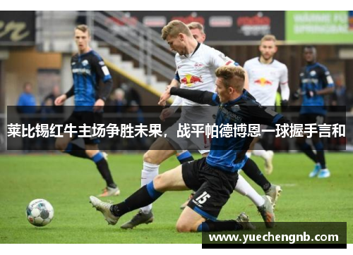 莱比锡红牛主场争胜未果，战平帕德博恩一球握手言和
