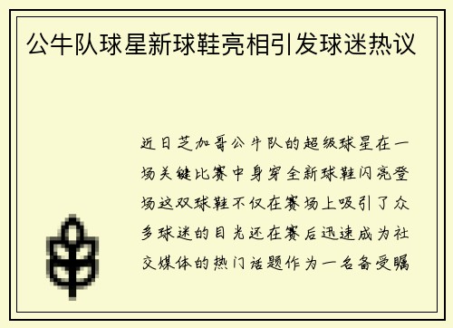公牛队球星新球鞋亮相引发球迷热议